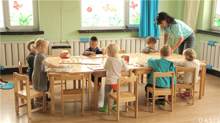 高质量教师团队