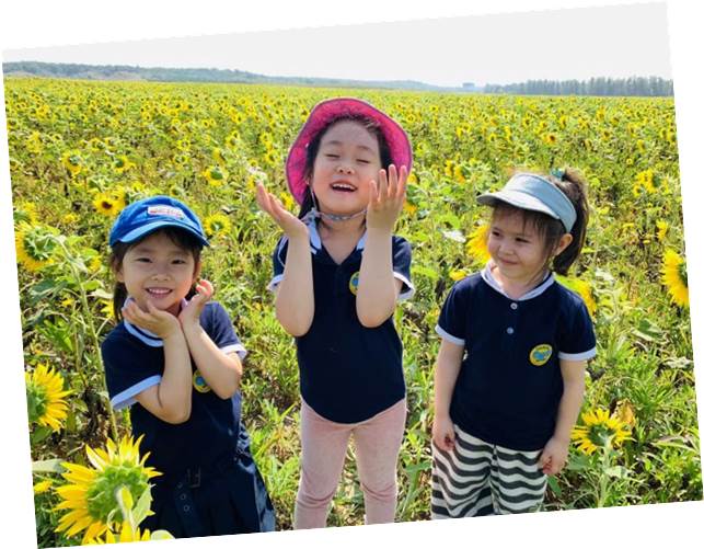 农场之旅和草莓采摘