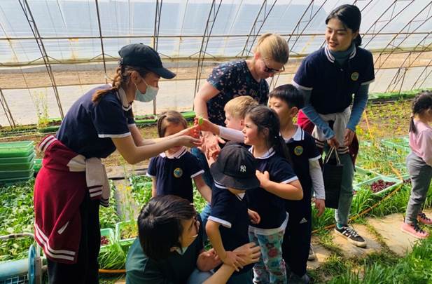 农场之旅和草莓采摘